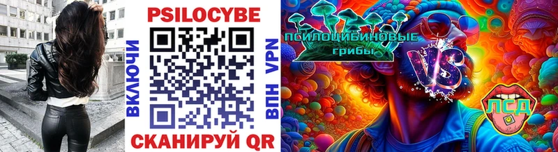 дарнет шоп  Суровикино  Псилоцибиновые грибы GOLDEN TEACHER 